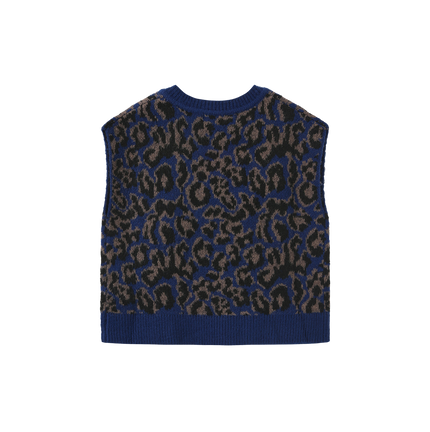 Hallen Chunky Knit Vest