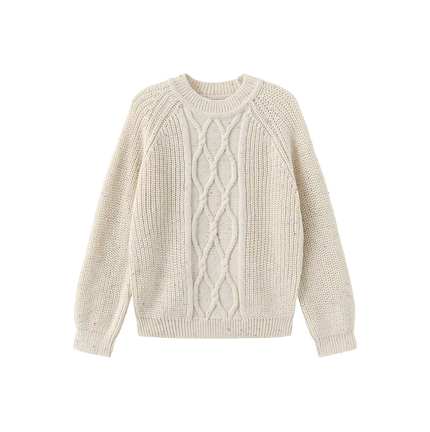 Marled Knit Cable Pattern Sweater