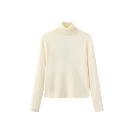 Fullin Silk Knit Turtleneck