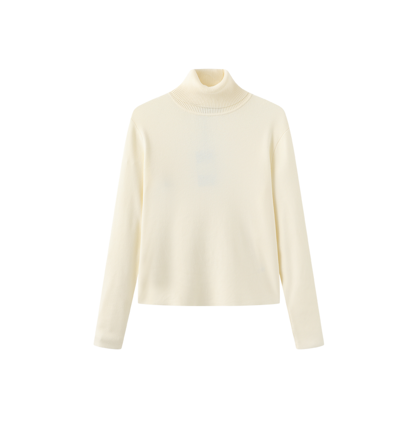 Fullin Silk Knit Turtleneck