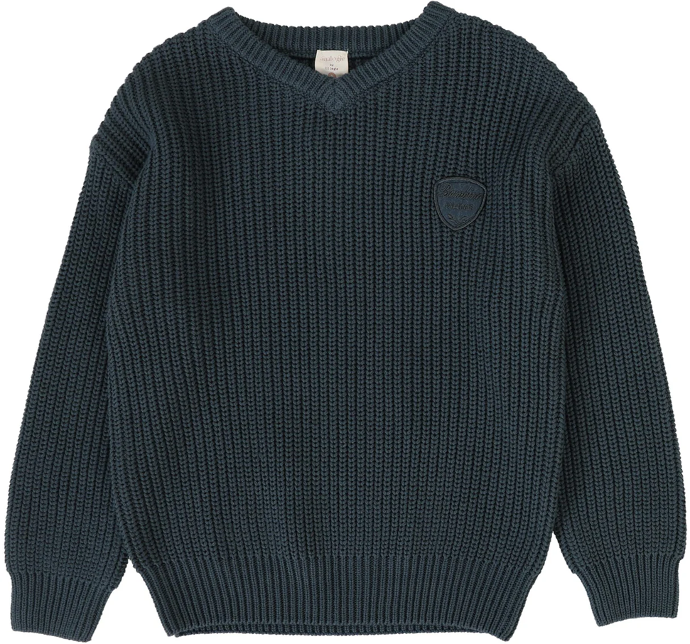 Knit V-Neck Sweater